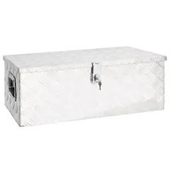 vidaXL Aufbewahrungsbox Silbern 80x39x30 cm Aluminium