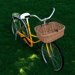 vidaXL Fahrrad-Frontkorb mit Deckel 50×45×35 cm Naturweide