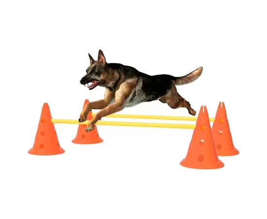 vidaXL Aktivitäts-Hindernis-Set für Hunde Orange und Gelb