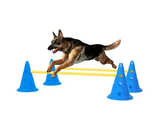 vidaXL Aktivitäts-Hindernis-Set für Hunde Blau und Gelb